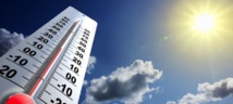Exposition aux fortes chaleurs et à la canicule: Obligations de l'employeur et rôle du CHSCT  18/07/19