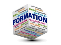 Le plan de formation dans la FPH  4/0920