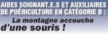Aides soignantes et Auxiliaires de Puériculture en catégorie B : La montagne accouche d'une souris !   20/08/21