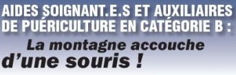 Aides soignantes et Auxiliaires de Puériculture en catégorie B : La montagne accouche d'une souris !   20/08/21